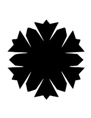 Graphic Snow Flake Icon