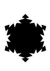 Graphic Snow Flake Icon