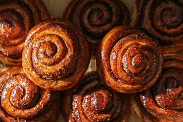 Freshly baked homemade Cinnamon rolls or Cinnamon buns on baking paper. Full frame shot