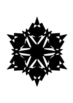 Graphic Snow Flake Icon