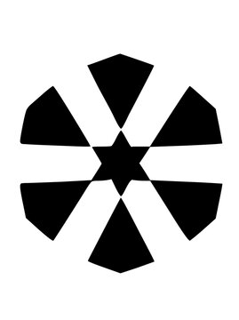 Graphic Snow Flake Icon

