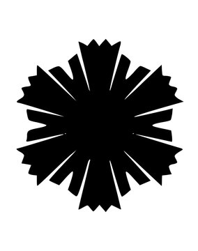 Graphic Snow Flake Icon