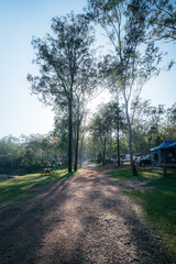 morning in the park