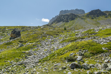 Randonnée au sommet du Mont Thabor dans les Alpes françaises en été 