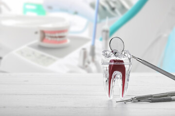 Plastic tooth with dental tools on table in clinic