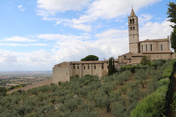 Fototapeta na wymiar Olive Trees and Basilica Santa Chiara in Assisi, Umbria Italy