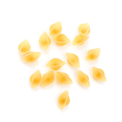 Raw conchiglioni pasta isolated on white background