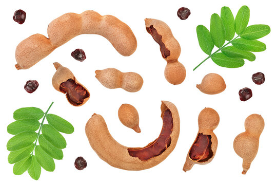 Tamarind fruit isolated on white background, Top view. Flat lay. Set or collection