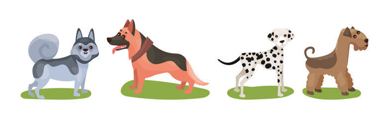 Different Dog Breed Standing on Green Grass Vector Set
