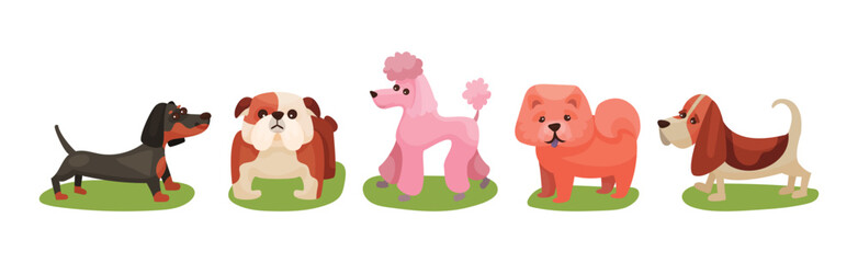 Different Dog Breed Standing on Green Grass Vector Set