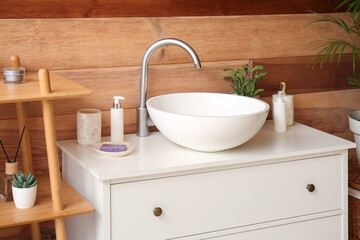 Fototapeta na wymiar Ceramic sink, houseplant and bath accessories on drawers in bathroom