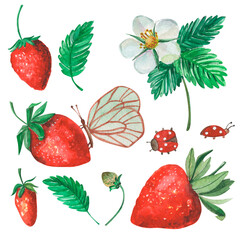 Watercolor set of hand-drawn summer illustrations. Bright juicy srtawberry, flower, leaves and butterfly isolated on white.