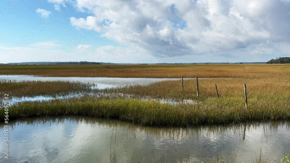 Wall mural Beautiful view of an island salt marsh wetlands with partly cloudy skies