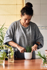 Woman seeding a plant