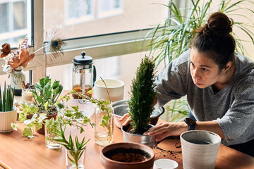 Woman seeding a plant