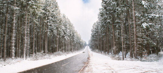 Road through a snow covered forest, slippery  and frosty street in winter, empty highway in cold temperature, seasonal weather and landscape