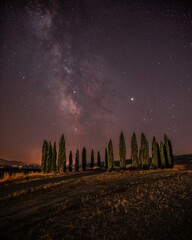 Via Lattea sopra i cipressi di San Quirico d'Orcia.