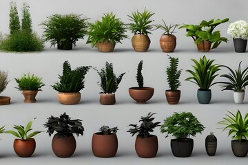 Fototapeta na wymiar A collection of beautiful plants in ceramic pots. Generative AI