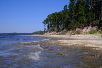 Beach Shore at South Toledo Bend State Park in Louisiana