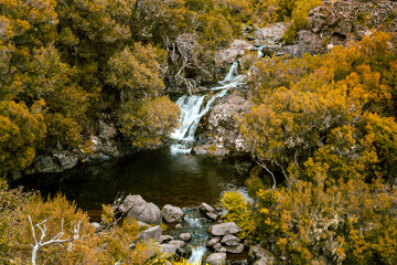 Levada das 25 Fontes and Risco waterfall, Madeira