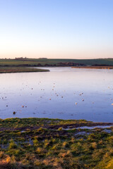 View of the frozen Cuckmere river on a winter day, East Sussex, England