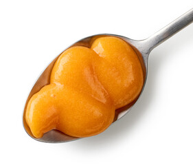 vegetable puree in a spoon