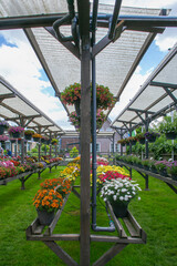 greenhouse with flowers