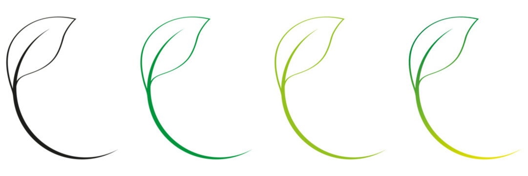 FEUILLE AVEC TIGE RONDE