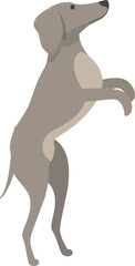 Jump greyhound icon cartoon vector. Dog animal. Sprint canine