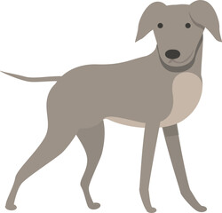 Greyhound kid icon cartoon vector. Animal dog. Tail race
