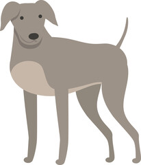 Strong greyhound icon cartoon vector. Dog animal. Sprint canine