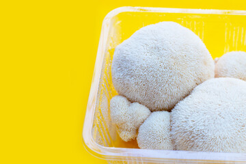 Fresh lion's mane mushroom on yellow background.