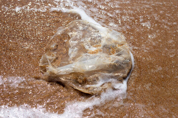 Plastic bag pollution on the beach