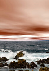 Obraz premium Asilomar State Marine Reserve California