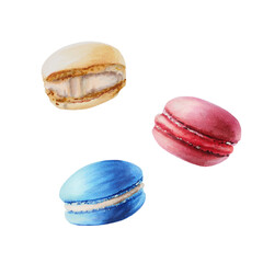 Watercolor fruit macarons. Hand painting sweet on a white isolated background. For designers, menu, shop, polygraphy,bar, bistro, restaurant, for postcards, wrapping paper, covers. For posters and