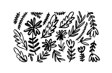 Wild flowers with plant leaves and branches isolated on white background. Brush drawn wild plants in childish style. Vector meadow flowers and herbs. Hand drawn botanical illustrations. 