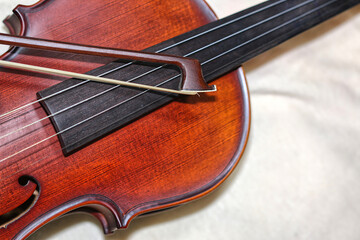 Wooden violin body in brown color