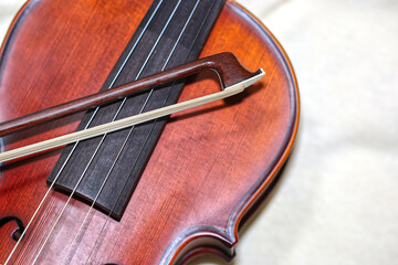 Wooden violin body in brown color