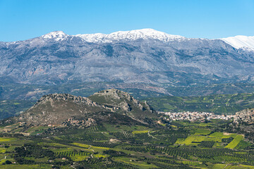 Aerial view of rural Archanes region landscape. Unique scenic panorama Olive groves, vineyards, green meadows and mountains view in spring. Heraklion, Crete, Greece