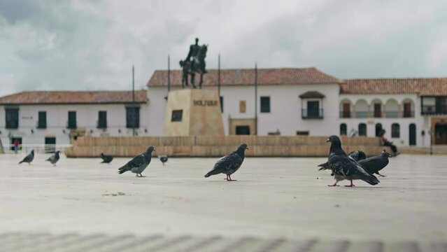 Plaza de bolivar con estatua y palomas de fondo en tunja