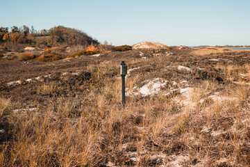 grass in the mountains