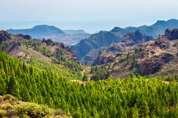 Naklejka premium beautiful landscape of the volcanic island of gran canaria
