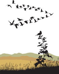 Seasonal migration of wild geese - 564075091
