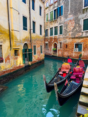 Fototapeta na wymiar Canal in Venice with a small garden and a tree near the house, on the water. Canals of Venice. Traditional Gondolas on narrow canal between colorful historic houses in Venice, Italy