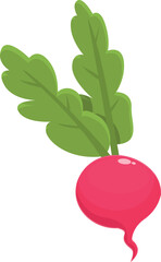 Radish food icon cartoon vector. Salad plant. Vegetarian diet