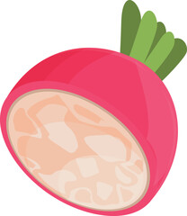 Summer radish icon cartoon vector. Healthy diet. Vitamin color