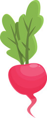 Radish nature icon cartoon vector. Food plant. Organic sliced