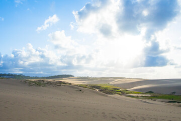夏の鳥取砂丘 鳥取県 鳥取砂丘
