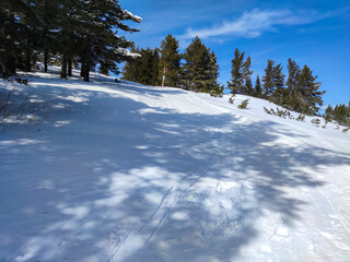 Winter landscape near Platoto area at Vitosha Mountain, Bulgaria