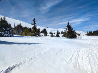Winter landscape near Platoto area at Vitosha Mountain, Bulgaria